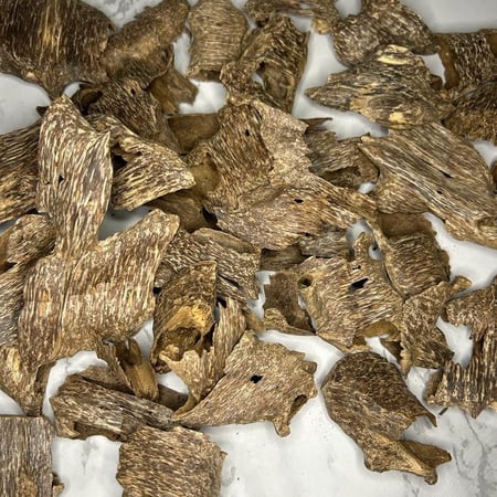 قواقع فتنامي  سوبر مرتفع