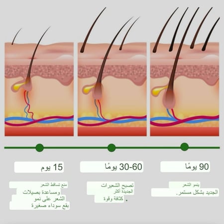 كورس 5 حبات زيت اكليل الجبل  لعلاج مشاكل الشعر