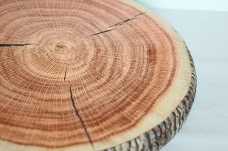 PILLOW -TREND FRUITS ترند طقم مجلس فووم فواكه