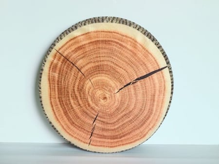 PILLOW -TREND FRUITS ترند طقم مجلس فووم فواكه