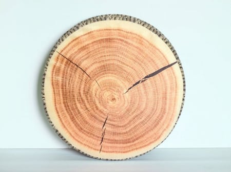 PILLOW -TREND FRUITS ترند طقم مجلس فووم فواكه