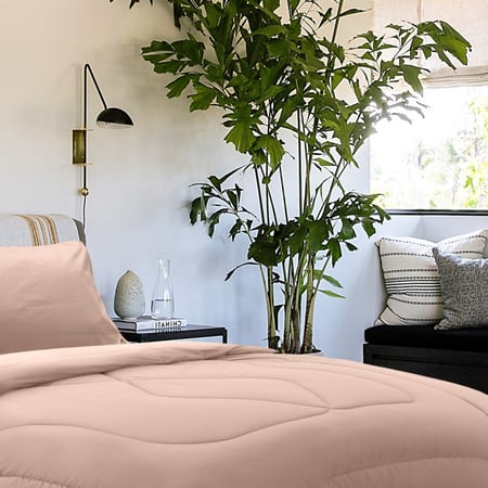 Plain micro-003 ديزاير لحاف بيج سادة نفرين 4 قطع