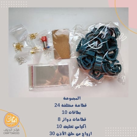 مجموعة قطاعات حلق الأذن "24"