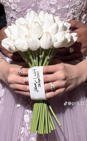 مسكة عروس - ايليا