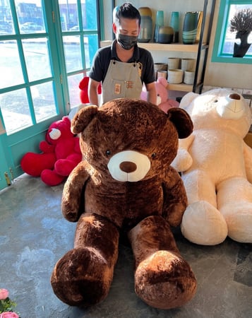 Brown 220cm