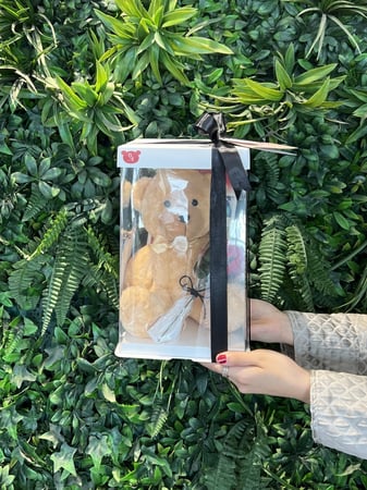Biege Bear box