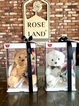 Biege Bear box