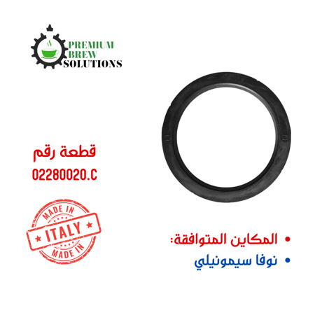 جازقيت نوفا سيمونيلي وفيكتوريا اردوينو 02280020