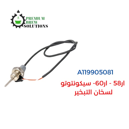 حساس حرارة روكيت A119905081