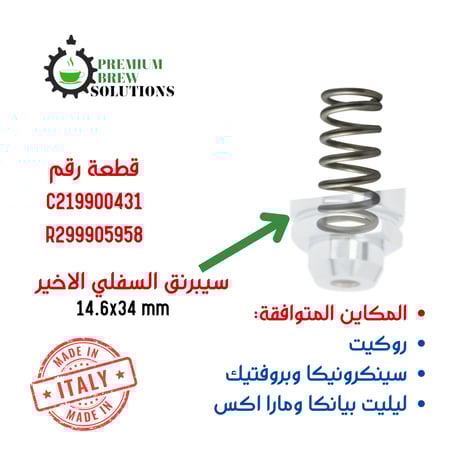 سبرينق E61 السفلي الاخير C219900431 - R299905958