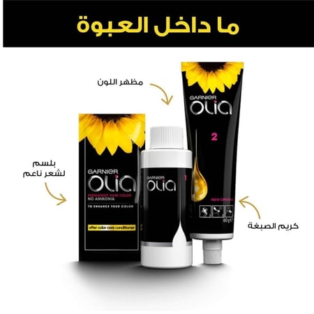غارنييه كولور ناتشورلز – صبغة شعر خالية من الأمونيا أشقر فاتح 9.0