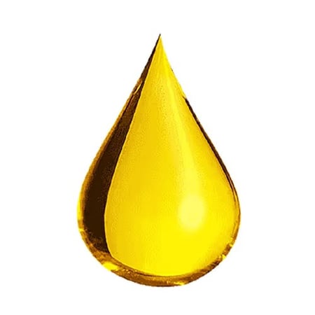 زيت شعر ايلفيف للشعر المصبوغ من لوريال باريس - 100 مل