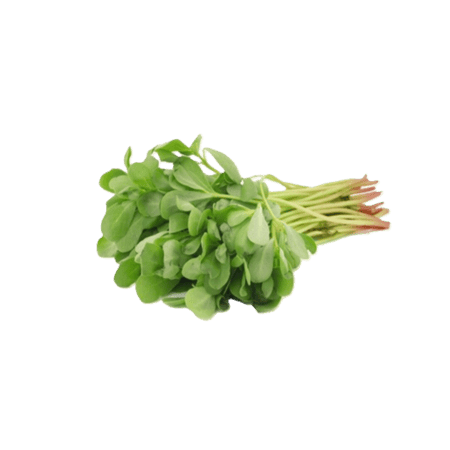 ورقيات طازجة منوعة