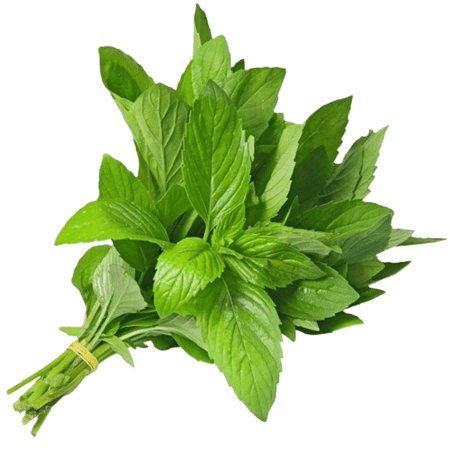 ورقيات طازجة منوعة