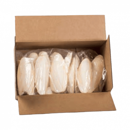 عظمة الحبار للطيور