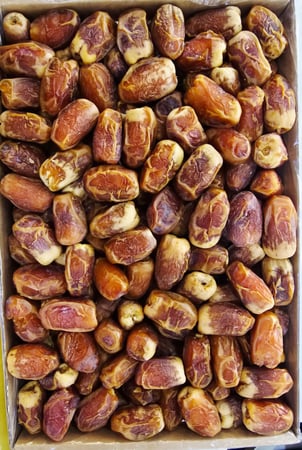 صقعي