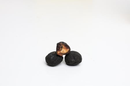 تمرية اوريو