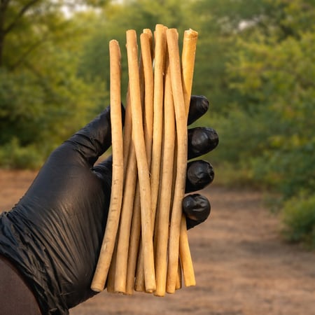 100 مسواك ابو حنش