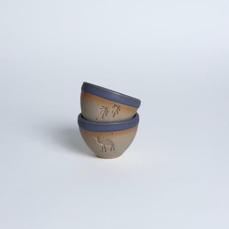 فناجيل رموز السعودية