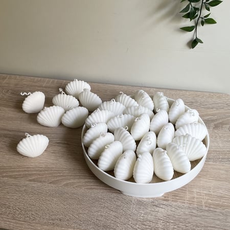 20 حبة من شمعة الصدفة