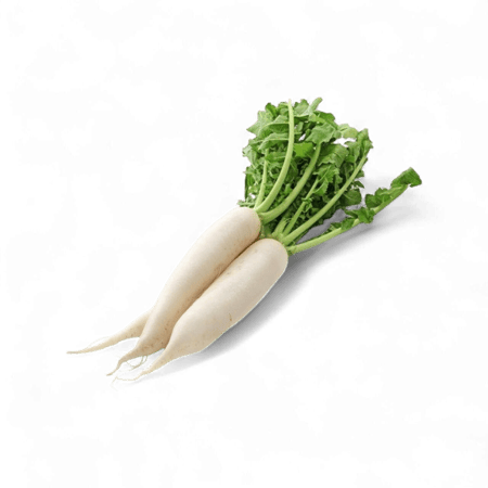 فجـــــــل أبيــــض - حــــــبة