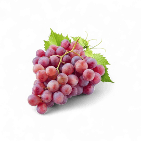 عنـــــب أحمـــــر بناتي - كرتــــون