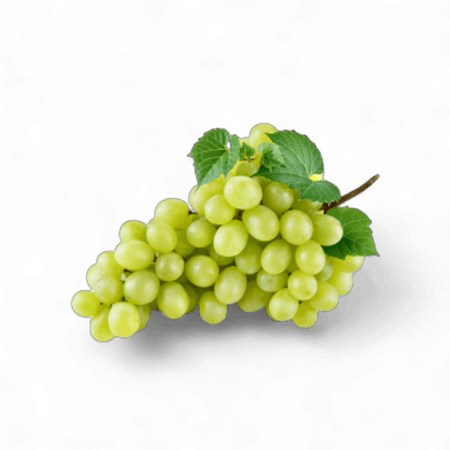 عنـــــب أخضــــر- علبــــــة