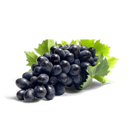 عنـــــب أســـــود - كرتون