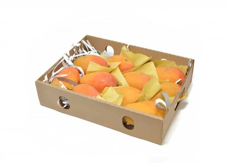 منجا تيمور- كرتون