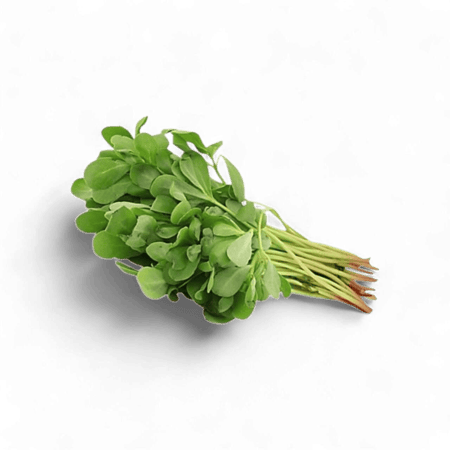 رجلــــــــــــــه- حــــــبة