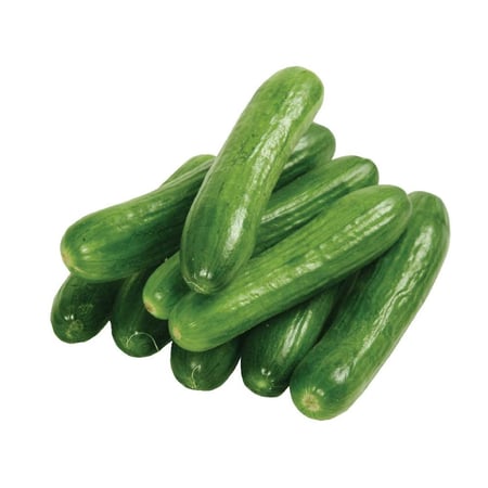 خيار 1 كيلو 1kg