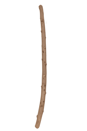 جذع شجره 100سم