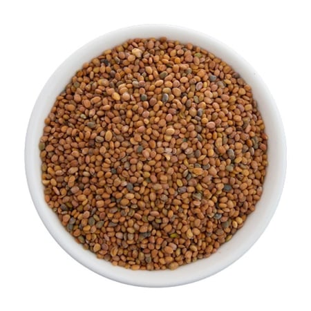 بذور الجرجير