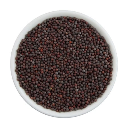 بذور الخردل السوداء
