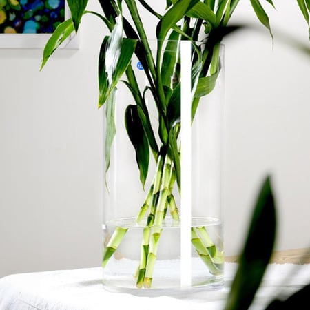 حوض زجاجي أسطواني للأسماك والتيراريوم  Glass Cylinder Tank for Fish & Terrarium