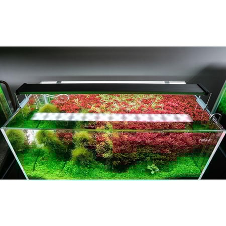 مصابيح Chihiros Series B – إضاءة احترافية لحوض السمك