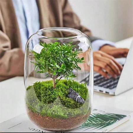 حوض زجاجي أسطواني للأسماك والتيراريوم Glass Cylinder Tank – 16 × 22 cm