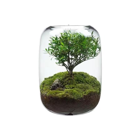 حوض زجاجي أسطواني للأسماك والتيراريوم Glass Cylinder Tank – 16 × 22 cm
