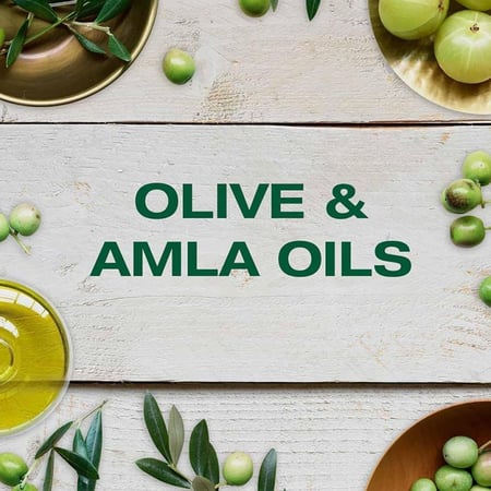 غارنييه الترا دوكس شامبو الزيتون الأسطوري لتغذية الشعر الجاف - 400 مل