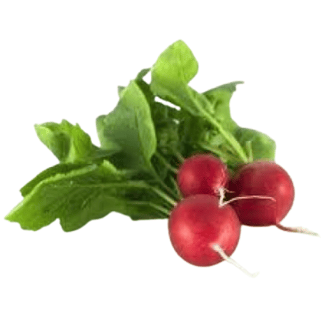 فجل احمر كيس