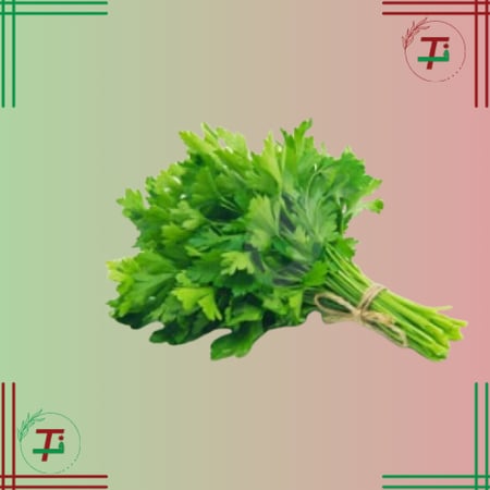 بقدونس
