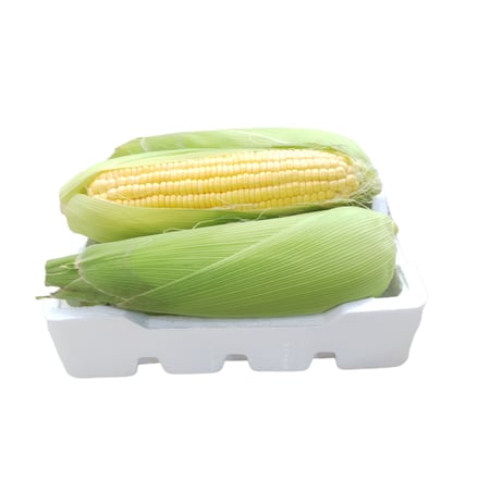 ذرة حلوة فلين 5 حبات