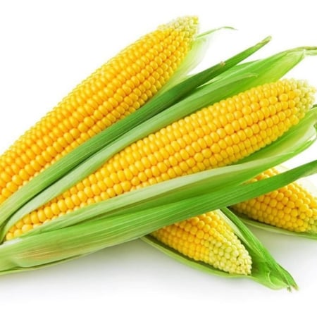 ذرة حلوة فلين 5 حبات