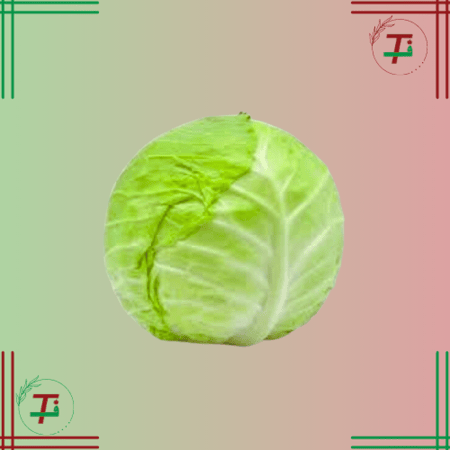 ملفوف ابيض حبة