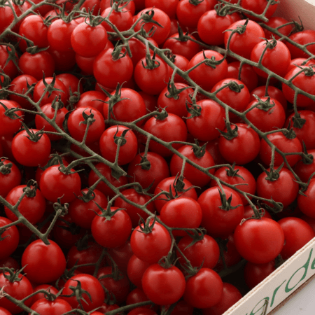 طماطم شيري عنقود (3 كجم)
