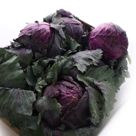 ملفوف أحمر (6 حبة)