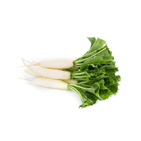 فجل أبيض (حبة)