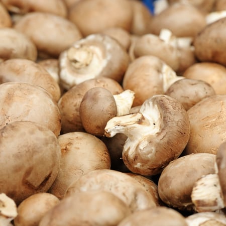 فطر بني (8 علبة 250 جم)