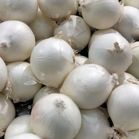بصل أبيض (8 كجم)