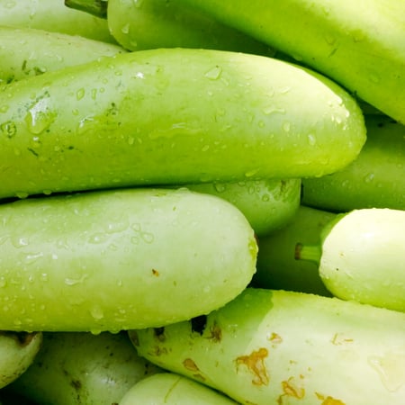 قرع أخضر طويل (13 كجم)